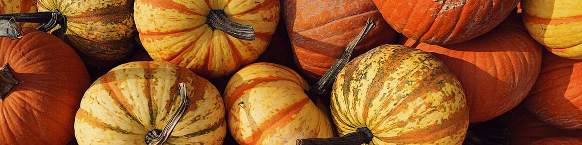 Pumpkin Collection