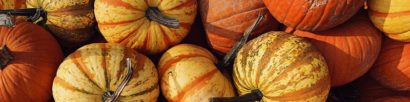 Pumpkin Collection